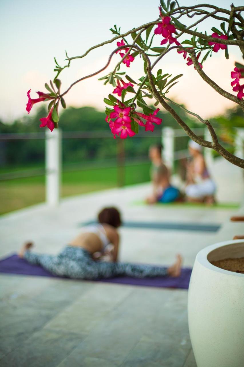 Villa Lotus 8 Canggu Exterior foto